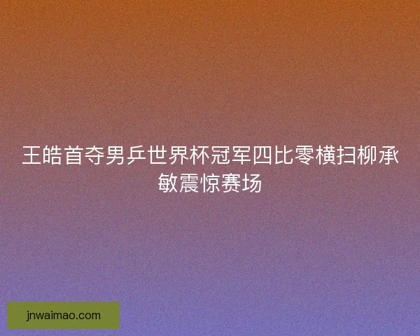 王皓首夺男乒世界杯冠军四比零横扫柳承敏震惊赛场